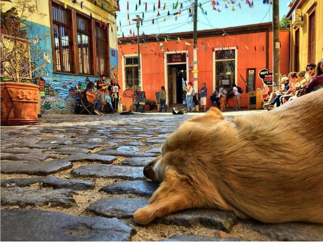 Casa Nomade Hotel Boutique Valparaíso Zewnętrze zdjęcie
